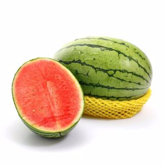 九游电竞平台官网产品名称四