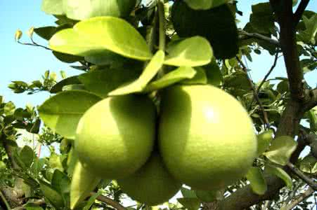 九游电竞平台官网案例展示一