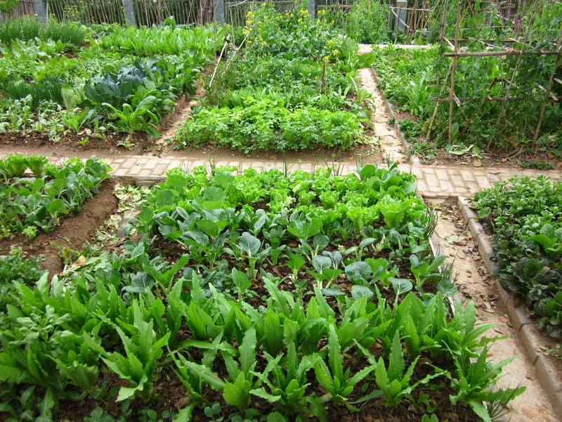 九游电竞平台官网案例展示五